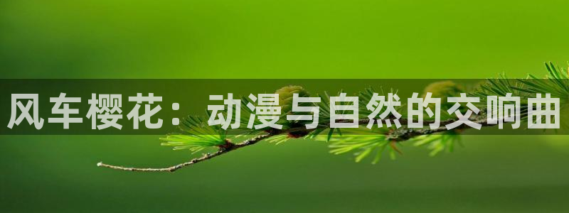 omofun下载安装：风车樱花：动漫与自然的交响曲