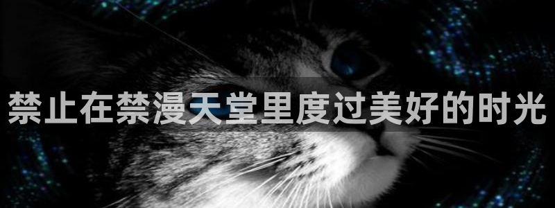 omofun动漫网：禁止在禁漫天堂里度过美好的时光