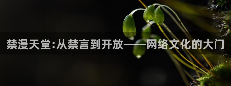 www.omofun.com：禁漫天堂:从禁言到开放——网络文化的大门
