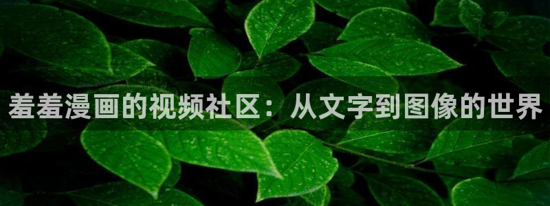 omofun去广告版：羞羞漫画的视频社区：从文字到图像的世界