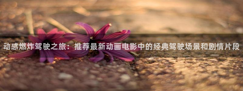 omofun可以投屏吗：动感燃炸驾驶之旅：推荐最新动画电影中的经典驾驶场景和剧情片段