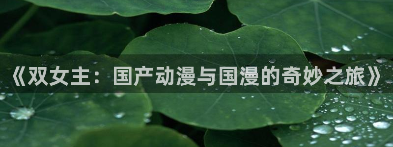 omofun动漫官方官网：《双女主：国产动漫与国漫的奇妙之旅》