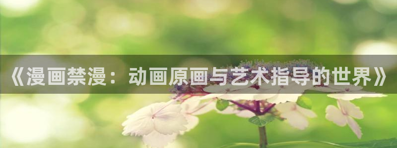 omofun.2xyz：《漫画禁漫：动画原画与艺术指导的世界》