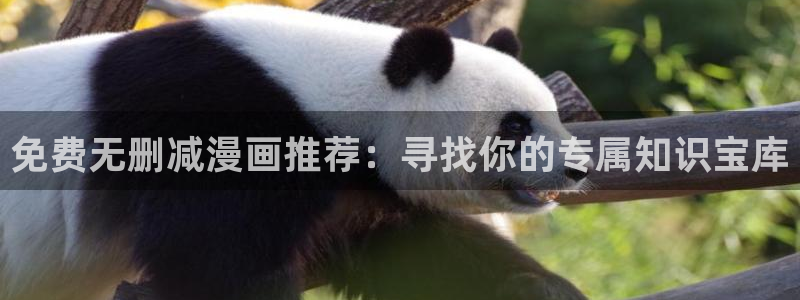 新新漫画最新版下载：免费无删减漫画推荐：寻找你的专属知识宝库