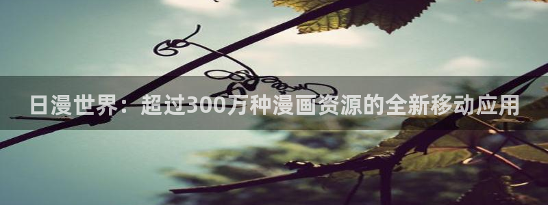 #omofun：日漫世界：超过300万种漫画资源的全新移动应用