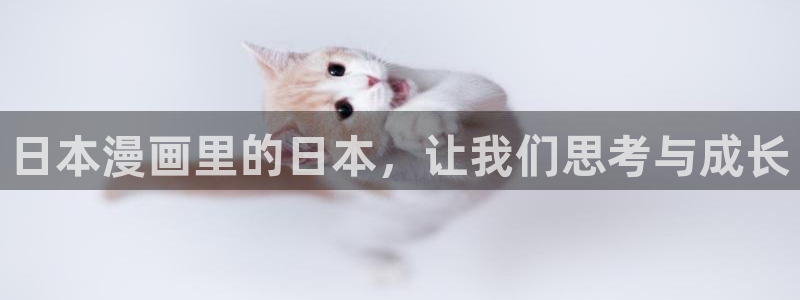 omofun纯净版：日本漫画里的日本，让我们思考与成长