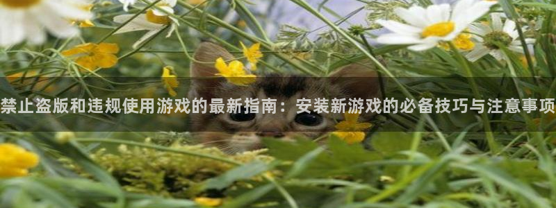 omofunpc：禁止盗版和违规使用游戏的最新指南：安装新游戏的必备技巧与注意事项
