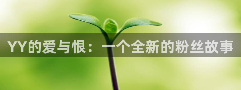 omofun动漫网站入口：YY的爱与恨：一个全新的粉丝故事
