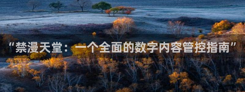 omofun动漫动画：“禁漫天堂：一个全面的数字内容管控指南”