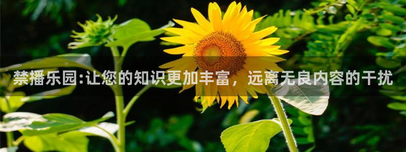 新新漫画下载最新版：禁播乐园:让您的知识更加丰富，远离无良内容的干扰