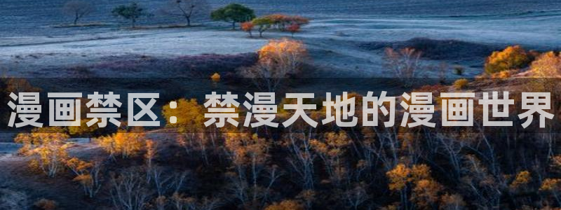 omofun苹果自签：漫画禁区：禁漫天地的漫画世界