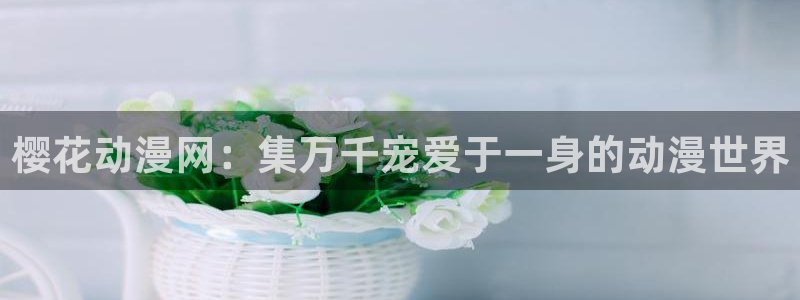 omofun是什么：樱花动漫网：集万千宠爱于一身的动漫世界