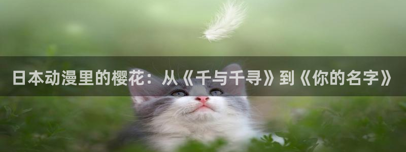 omofun下载官方正版网站：日本动漫里的樱花：从《千与千寻》到《你的名字》