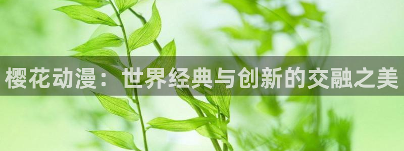 omofun纯净无广告版：樱花动漫：世界经典与创新的交融之美