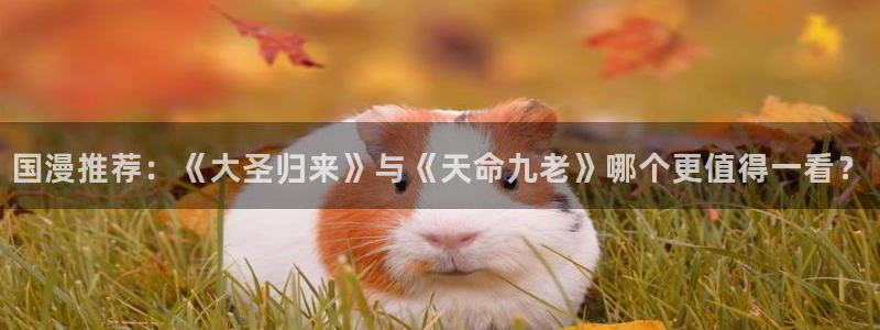 omofun动漫官方版下载：国漫推荐：《大圣归来》与《天命九老》哪个更值得一看？