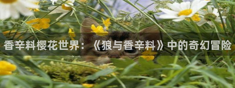 omofun,：香辛料樱花世界：《狼与香辛料》中的奇幻冒险