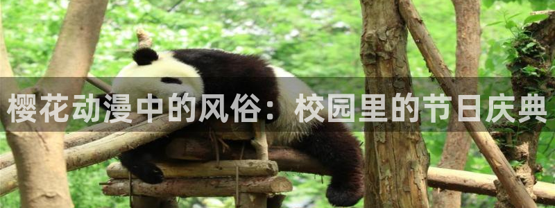 omofun全新版官网入口：樱花动漫中的风俗：校园里的节日庆典